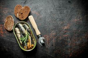 Sprats in a tin can with slices of black bread and a opener. photo