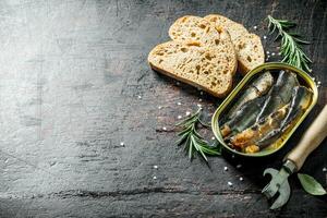 Sprats in a tin with sliced bread and rosemary. photo