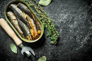 Open tin can with sprats with Bay leaf and thyme. photo