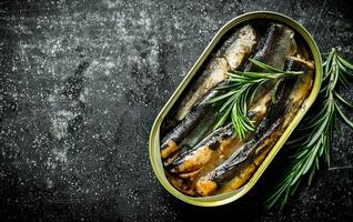 Sprats in a tin can of rosemary. photo