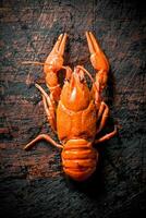 Single boiled crayfish. photo