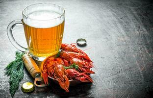 Beer snack. Boiled crayfish with beer and dill. photo