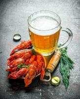 Beer snack. Boiled crayfish with beer and dill. photo