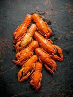 Spicy boiled crayfish. photo