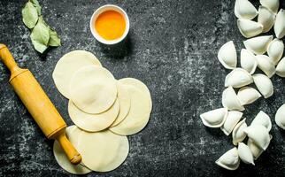 Preparation of raw dumpling. photo