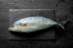 crudo pescado en un Roca tablero. foto