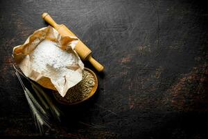 Flour with wheat grain and spikelets. photo