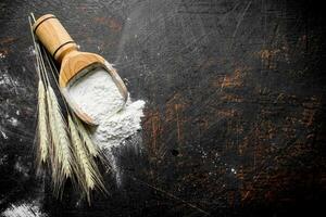 Flour in a wooden scoop with spikelets. photo