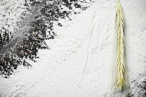 Texture of wheat flour with spikelet. photo