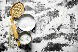 Flour in different sieve with grain, rolling pin and spikelets. photo