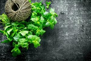 Fresh mint with old twine. photo