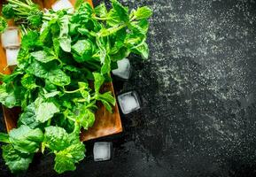 Mint on a wooden plate with pieces of ice. photo