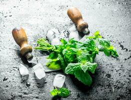 Freshly cut mint from the home garden with pieces of ice. photo