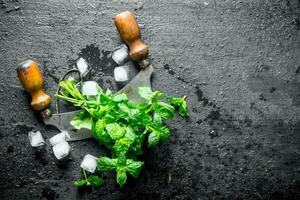 Mint with big knife and ice. photo