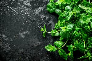 Healthy food. Fragrant fresh mint. photo