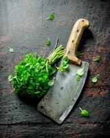 Fresh Basil with a big knife. photo