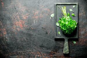 Bunch of fresh Basil on the cutting Board. photo