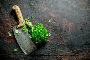 Fresh Basil with a big knife. photo