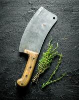 Thyme with a big knife. photo