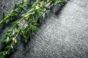 Sprigs of fresh thyme. photo