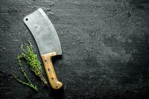 Thyme with a big knife. photo