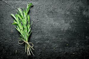 Bunch of fresh rosemary. photo