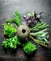 Types of different herbs with old twine. photo