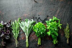 The range of bundles of different herbs. photo