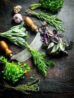 Various herbs grown in the home garden. photo