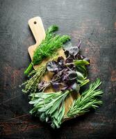 Various types of useful herbs on a wooden cutting Board. photo