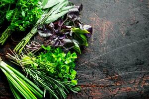 sano alimento. un variedad de Fresco hierbas. foto