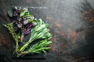 Fresco hierbas. salvia, tomillo, Romero y albahaca en un Roca tablero. foto