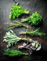 Bunches of fresh herbs for the salad. photo