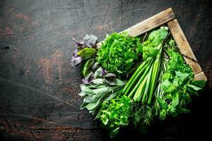 Range of different kinds of herbs on a tray. photo