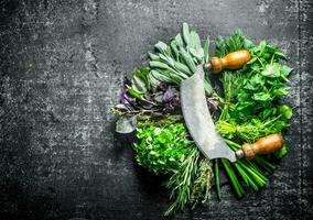 recién cortar hierbas para el ensalada. foto