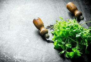 Bunch of fresh parsley with a knife. photo