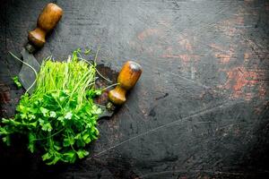 Bunch of fresh parsley with a knife. photo