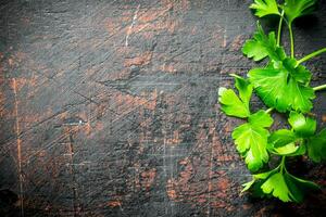 Fresh parsley leaves. photo