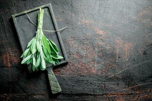 Bunch of fresh salvia on the cutting Board. photo