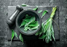 Fresh salvia on a stone Board with mortar and pestle. photo