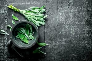 Fresh salvia on a stone Board with mortar and pestle. photo