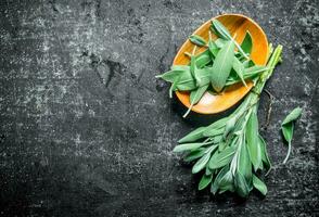 Fresh salvia on a wooden plate. photo