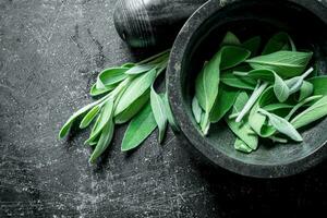 Freshly cut salvia in a mortar and pestle. photo