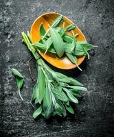 Fresh salvia on a wooden plate. photo