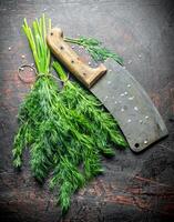 Bunch of fresh dill with a knife. photo