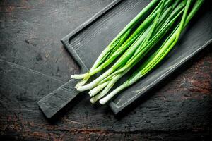 Green onion on the cutting Board. photo