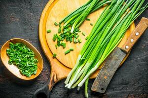 Freshly cut green onion from the home garden. photo