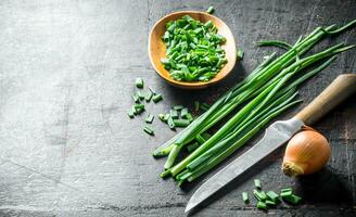 Onions and green onions. photo