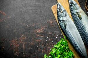 Raw mackerel with parsley. photo