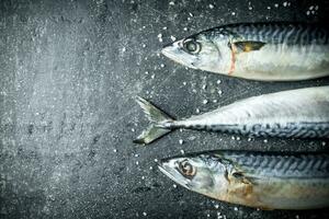 Raw fish mackerel. photo